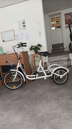 Tricycle électrique cargo